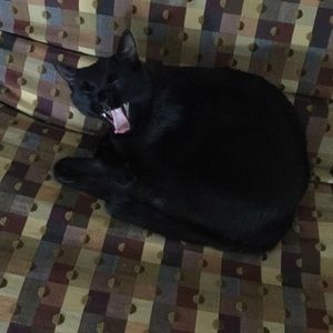 Meet your Posher, Kathryn